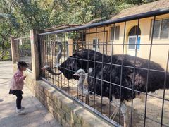 -温州动物园-北门售票处