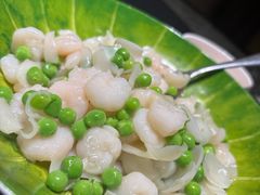 -新光酒家·河豚·海鲜·蟹料理(浦东店)