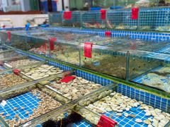 -滑记海鲜饭店·老字号(海鲜街店)