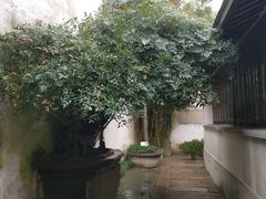-乌镇东栅景区