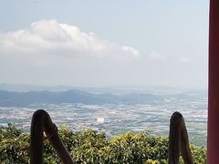 -金龙寺国家森林公园