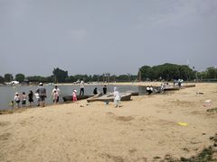 -上海月湖雕塑公园