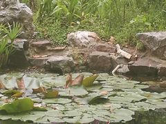 -浙江西子宾馆·瑶园咖啡厅