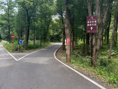 -青龙山国家森林公园