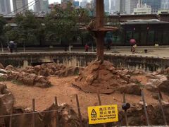 -昆明动物园