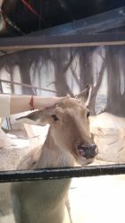 -酷嗒动物文化乐园(cutezoo西溪乐天城店)