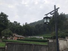 -自在弥林花园餐厅(云栖店)