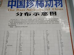 -绿野餐厅(上海动物园店)