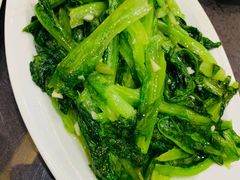 -一撮毛美食城(全力一路店)