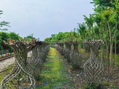 -武汉紫薇都市田园