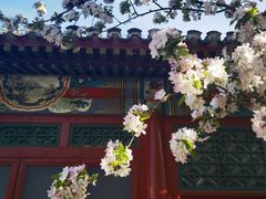 -海棠花溪(元大都城垣遗址公园)