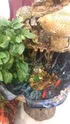 -唐荣护肤造型