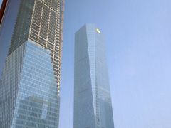 景观位-石葵(锦业时代店)