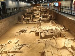 -洛阳周王城天子驾六博物馆