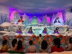 -帝企鹅自助餐厅•儿童岛•真企鹅(长隆企鹅酒店)