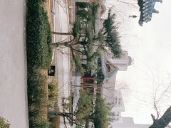 -迎泽公园
