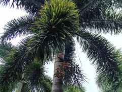 -白沙门生态公园