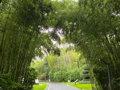 -苏州河梦清园环保主题公园