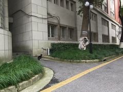 -星巴克(上海交通大学店)