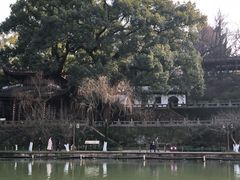 -西湖游船