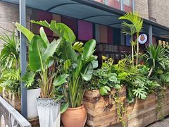 -翡翠鸟精品泰国菜(北辰财富中心店)