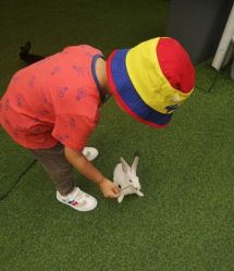 -萌宠亲子动物乐园(槐房万达店)