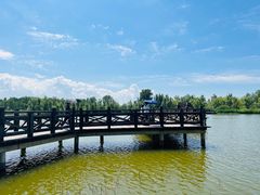 -野鸭湖国家湿地公园