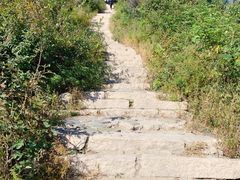 -北京西山国家森林公园