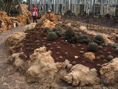 -南通洲际绿博园