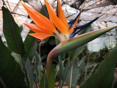 -昆明市金殿名胜区