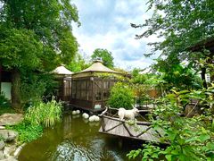 -筱湘溪·原住土菜小院