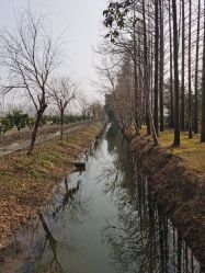 -前小桔亲子创意农场·草莓采摘·露营烧烤