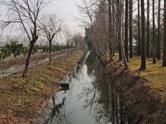 -前小桔亲子创意农场·草莓采摘·露营烧烤