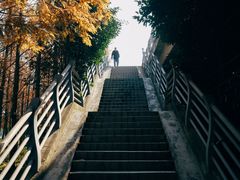 -复旦大学(张江校区)