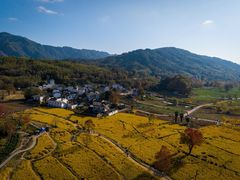 -塔川景区