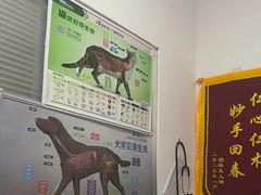 -宠福鑫康馨动物医院·骨科·眼科