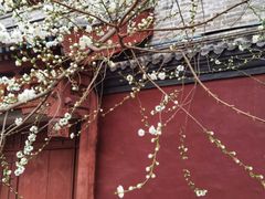 -雍和宫(地铁站)
