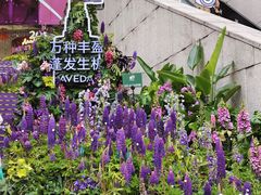 -上海久光百货