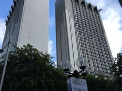 -新加坡乌节希尔顿酒店 (SG Clean)