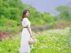 -光明小镇欢乐田园