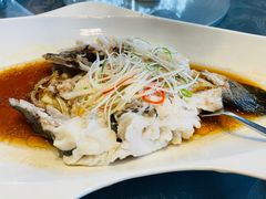 笋壳鱼-海景壹号大酒店(滨湖店)