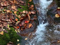 -丹东天桥沟景区