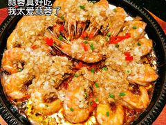 -乐和餐饮(活力源店)
