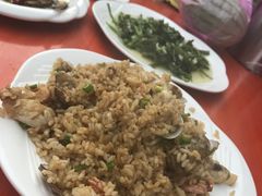 -食海部落