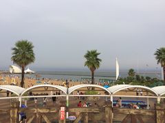 -碧海金沙