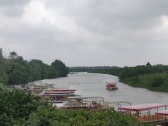 -东寨港红树林旅游区