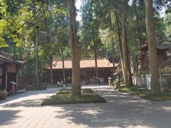 -都江堰普照寺