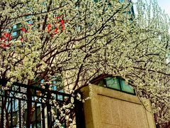 -新世界小天星幼儿园(尚景园)