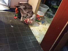 -金鼎雪山牦牛杂火锅(理县总店)