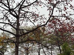 -晓港公园